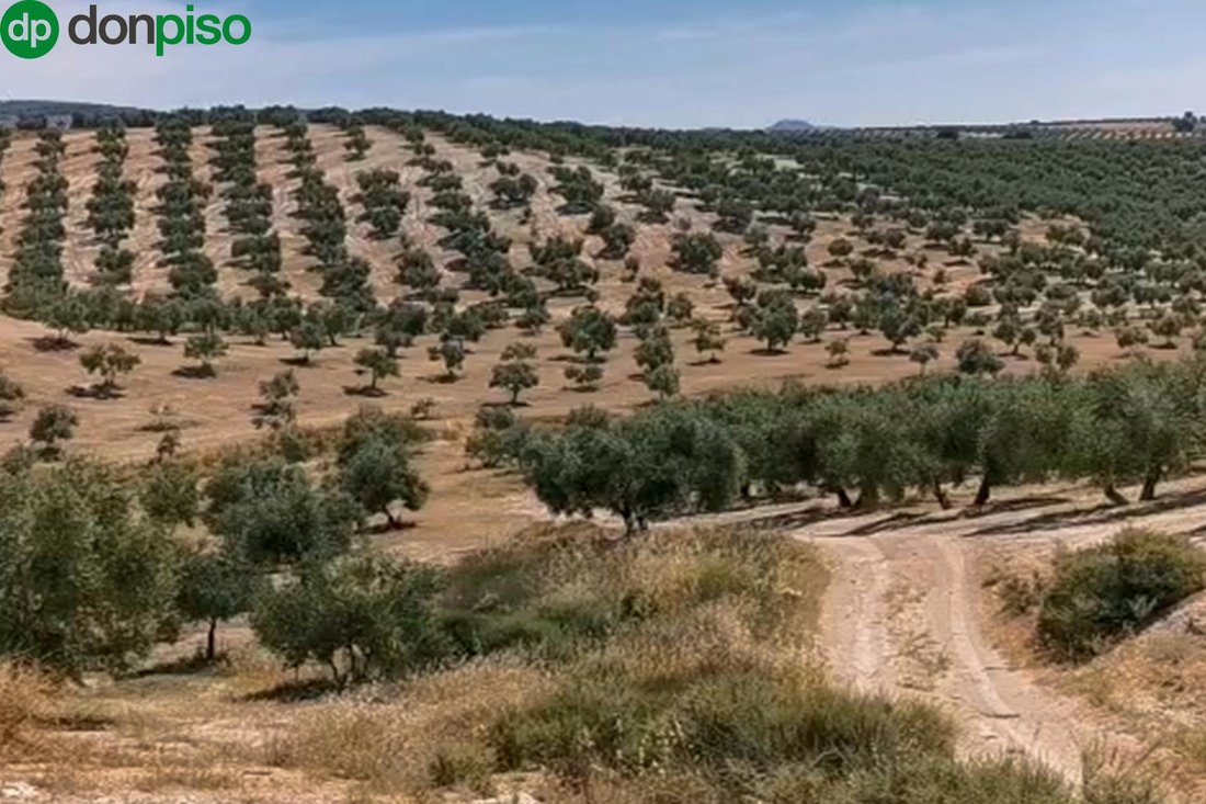Land in Huelma, Andalusia, Spain 5 - 17962123