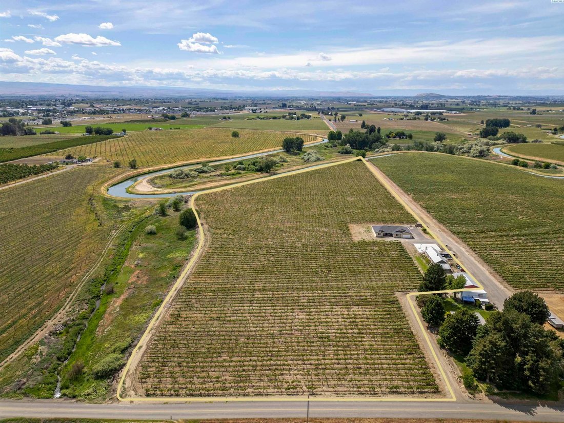 House in Grandview, Washington, United States 4 - 17961898