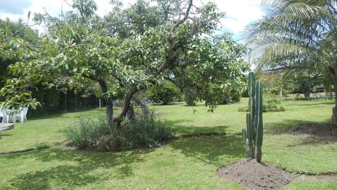 Land in Quito, Pichincha, Ecuador 1 - 17960498