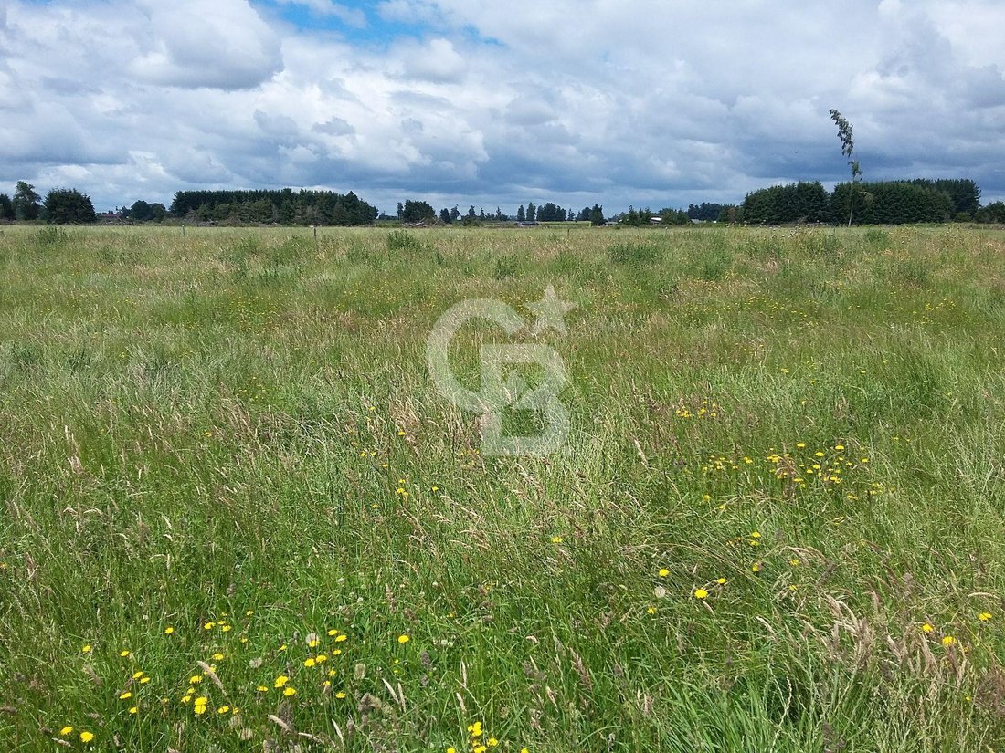 Land in Osorno, Los Lagos, Chile 2 - 17958618