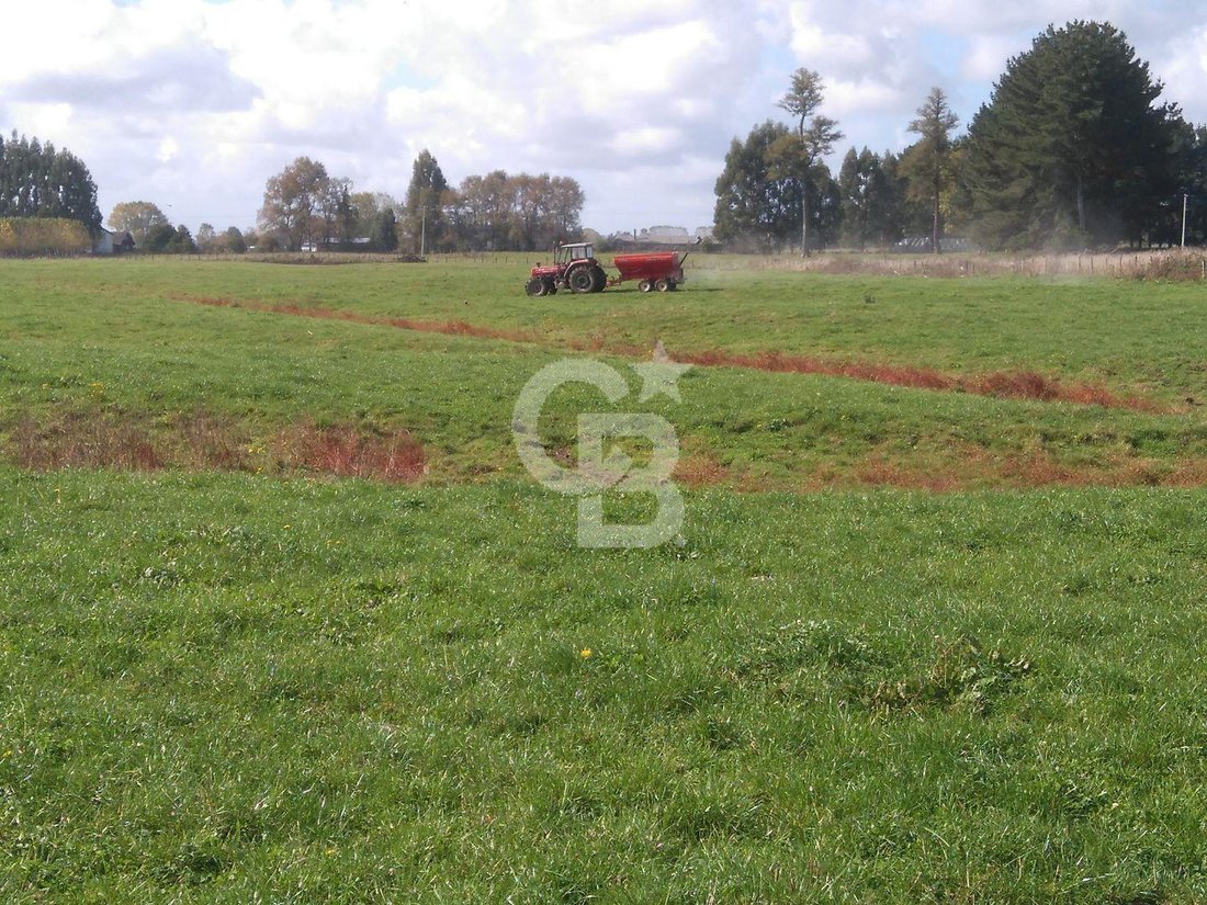 Land in Osorno, Los Lagos, Chile 3 - 17958618