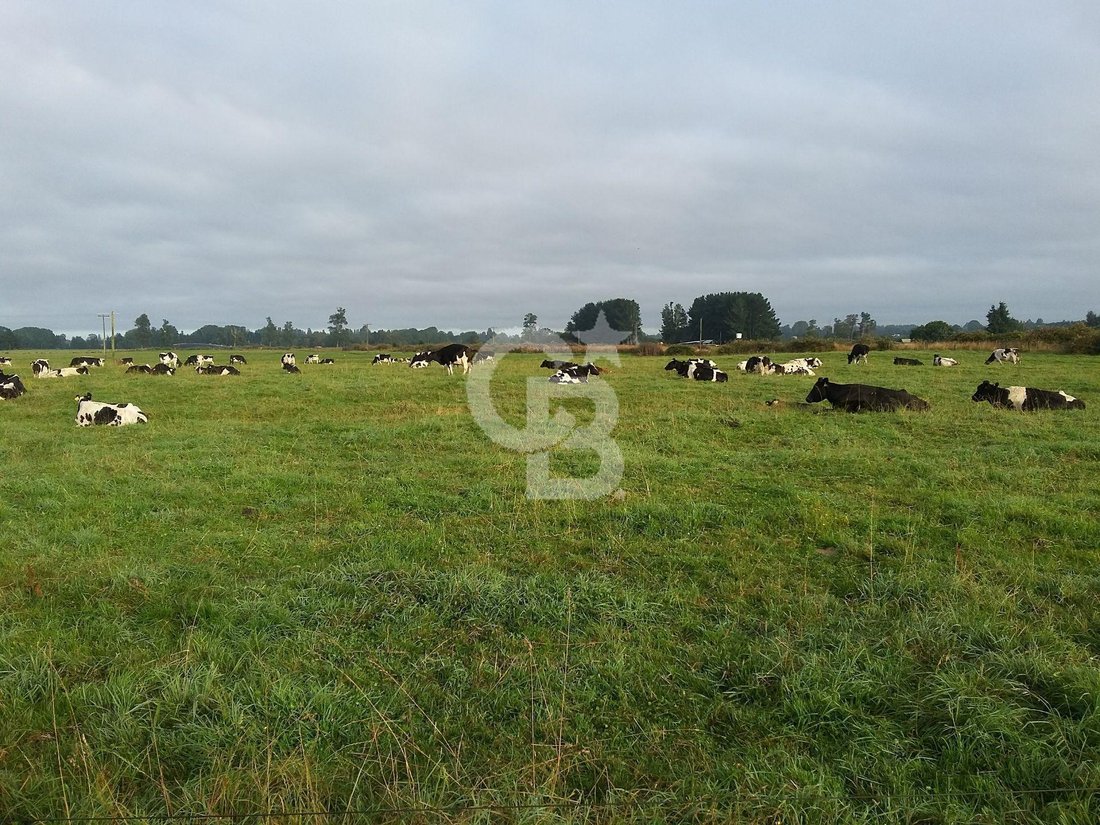 Land in Osorno, Los Lagos, Chile 4 - 17958618