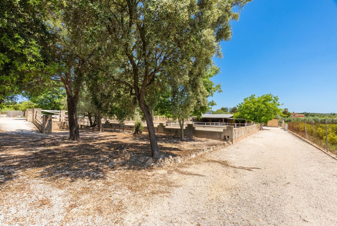 House in Enguera, Valencian Community, Spain 5 - 17962213