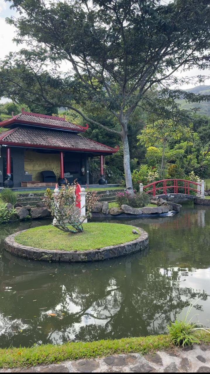Estate in Santa Ana, San José Province, Costa Rica 3 - 17960322