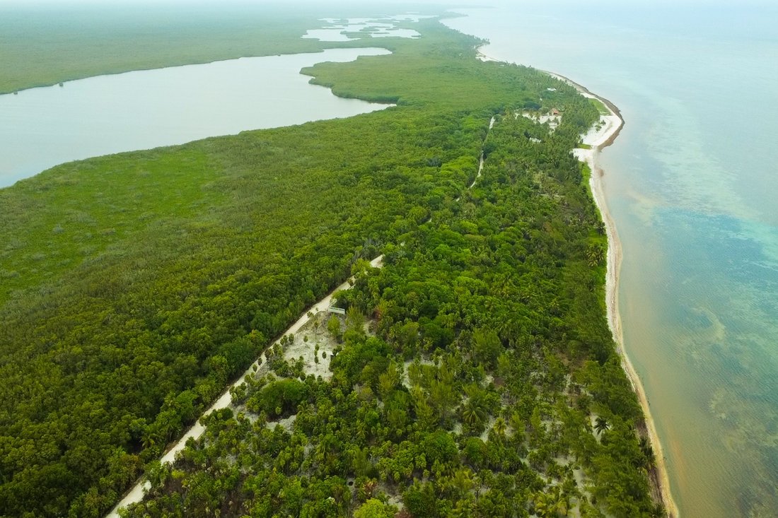 Land in La Casona, Quintana Roo, Mexico 1 - 17964107