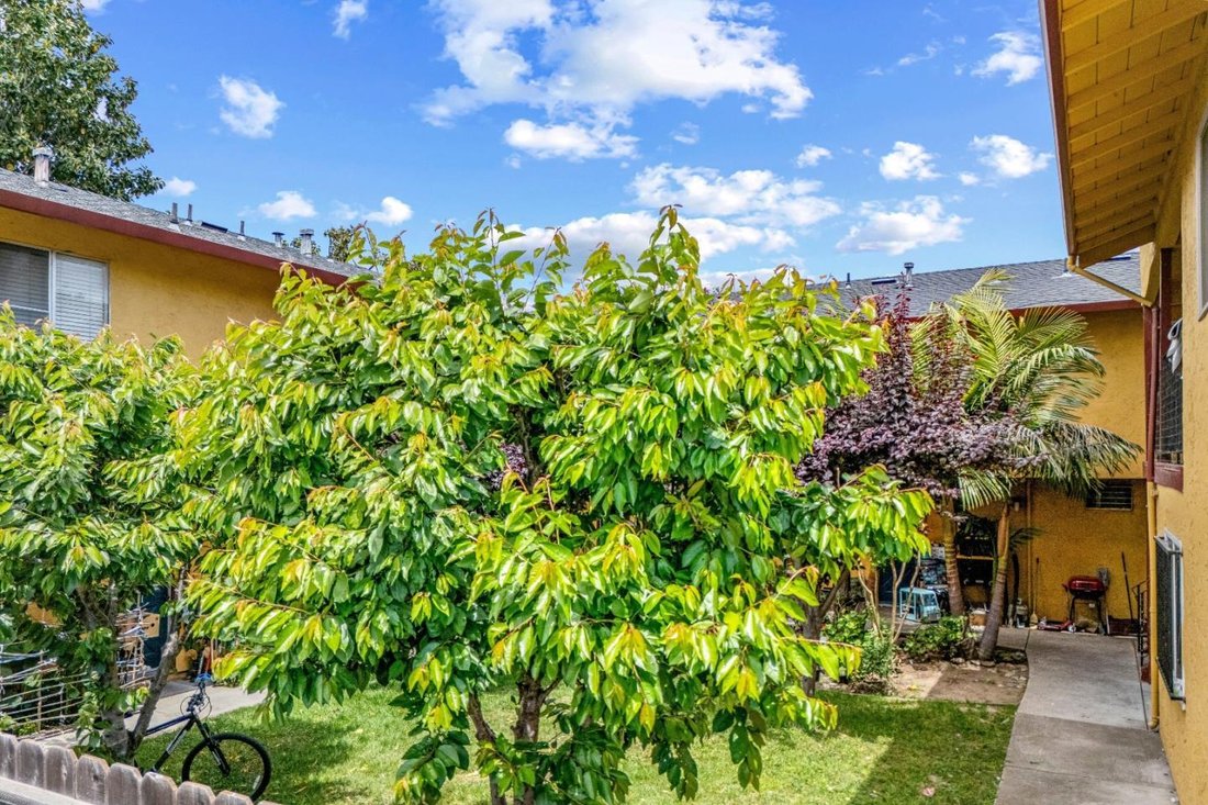 Gilroy, California, United States 4 - 17963822