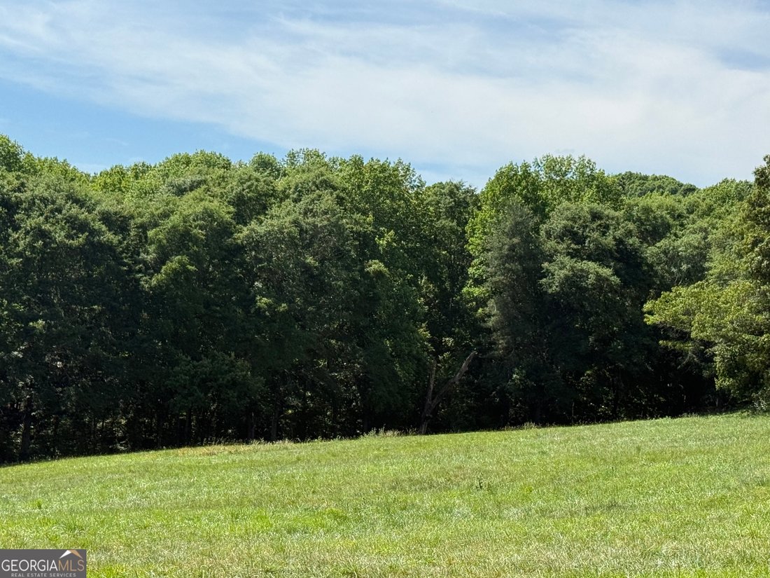 House in Clarkesville, Georgia, United States 4 - 17964024