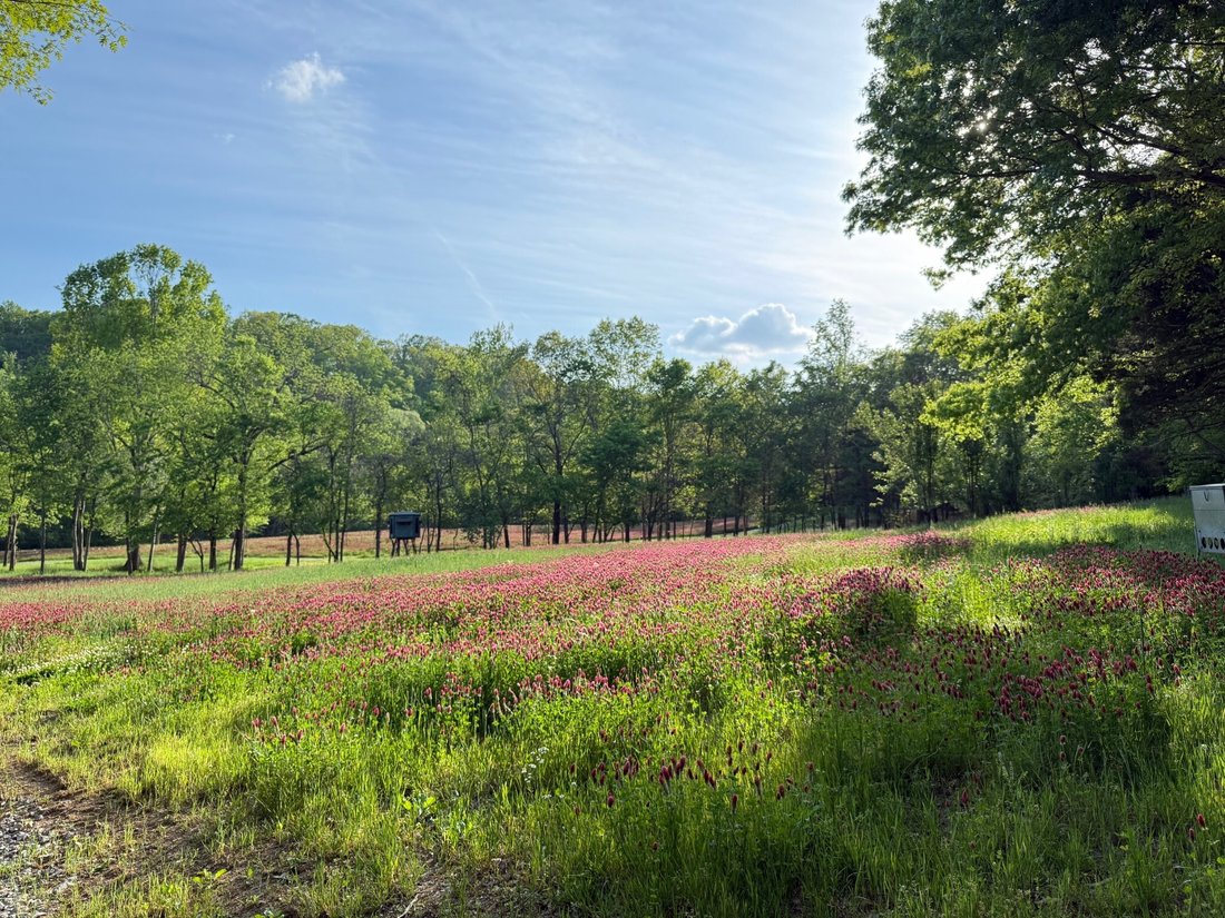 House in Franklin, Tennessee, United States 4 - 17963727