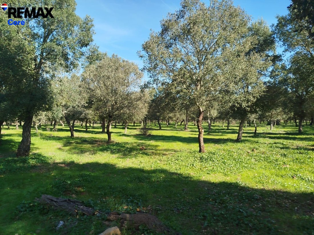 Terrain à La Codosera, Estrémadure, Espagne 3 - 17964058