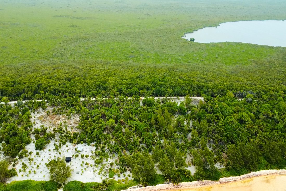 Land in La Casona, Quintana Roo, Mexico 3 - 17964107