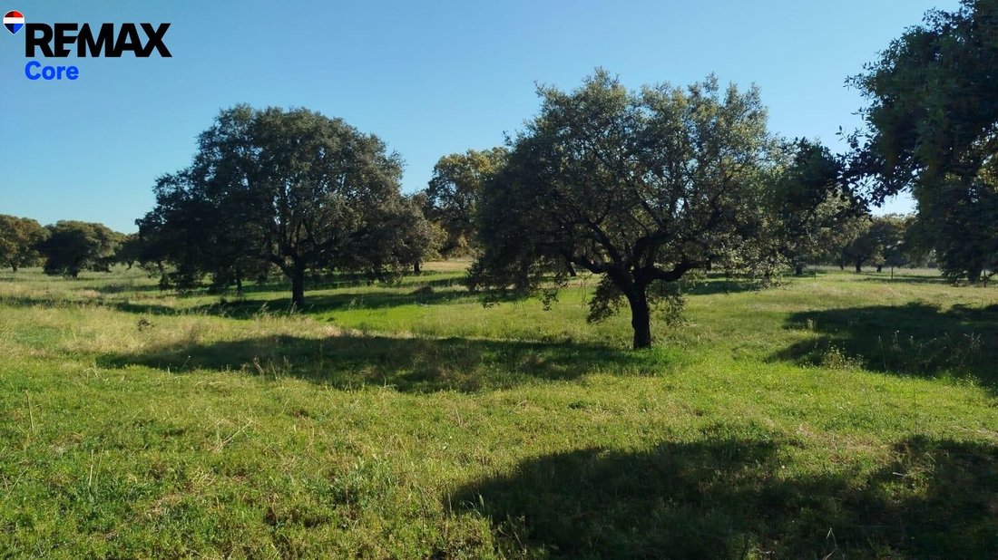 Terrain à La Codosera, Estrémadure, Espagne 1 - 17964058