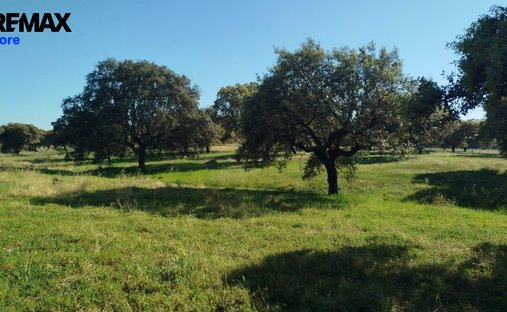 Terrain à La Codosera, Estrémadure, Espagne 1