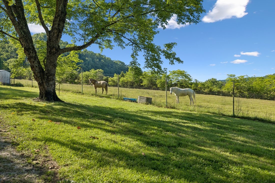 House in Lancaster, Tennessee, United States 5 - 17963696