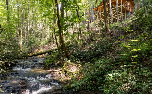House in Blue Ridge, Georgia, United States 1