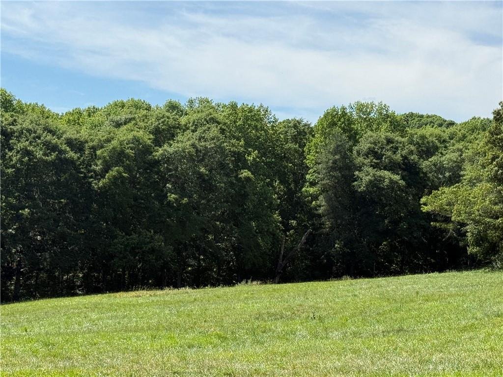 House in Clarkesville, Georgia, United States 4 - 17963847