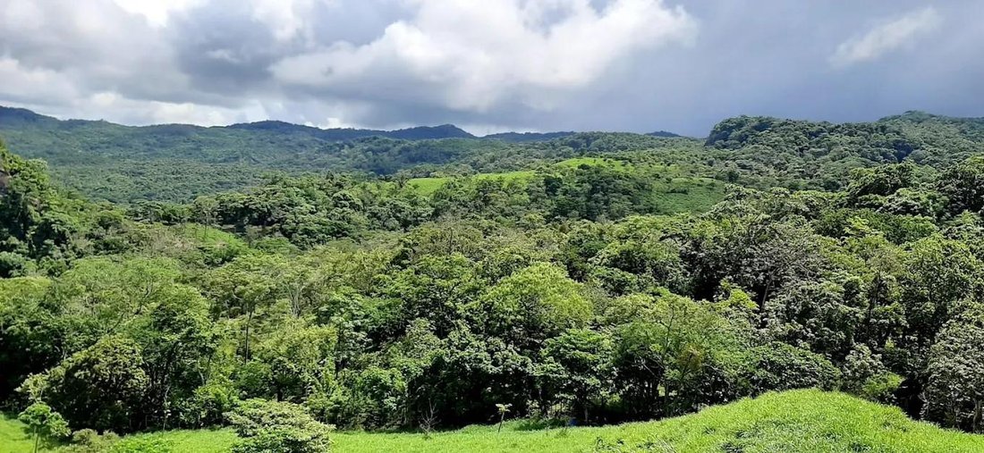 Finca in Chicá, Provincia de Panamá Oeste, Panama 3 - 17963902