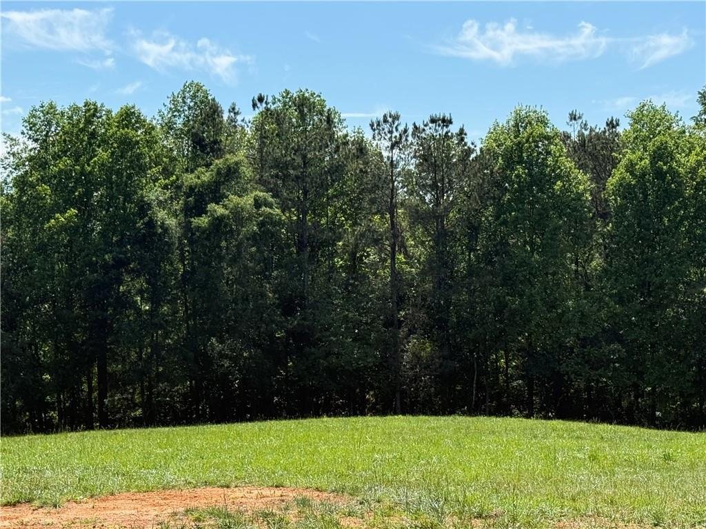 House in Clarkesville, Georgia, United States 5 - 17963847