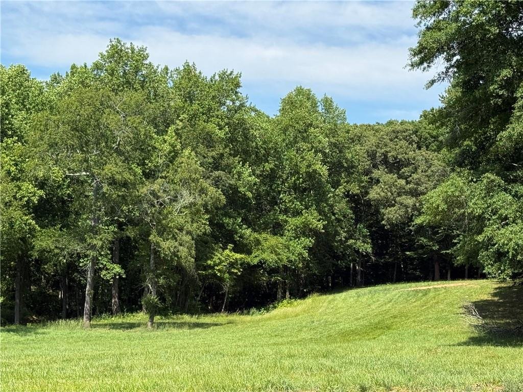 House in Clarkesville, Georgia, United States 3 - 17963847