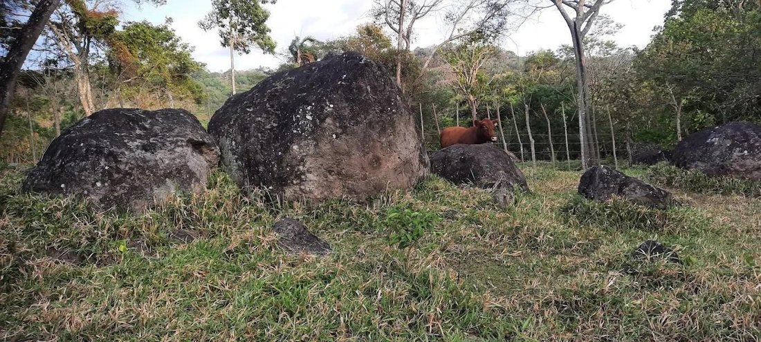 Finca in Chicá, Provincia de Panamá Oeste, Panama 4 - 17963902