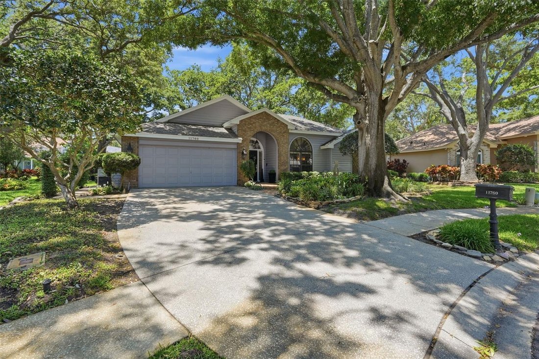 House in Seminole, Florida, United States 1 - 17963909