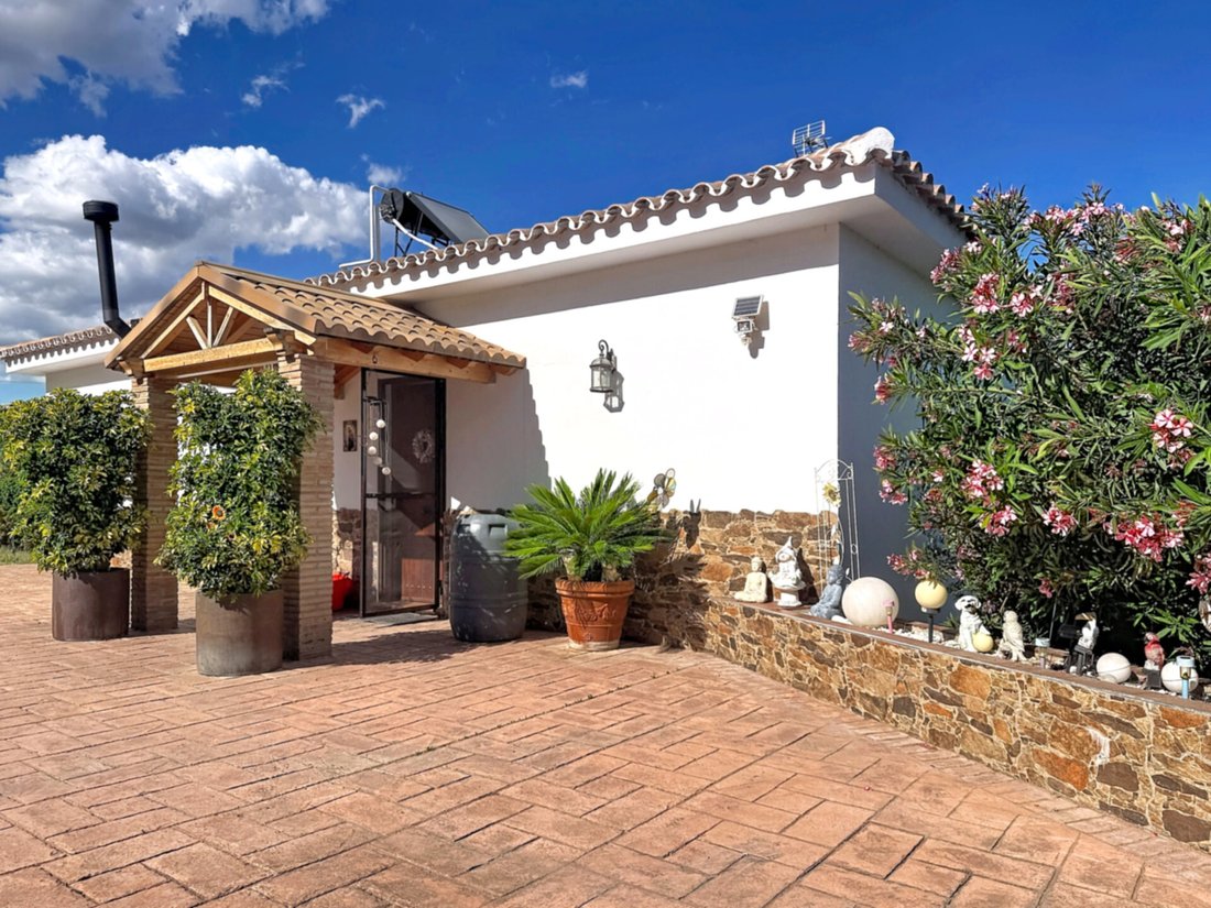 Finca in Estepona, Andalusia, Spain 1 - 17964390