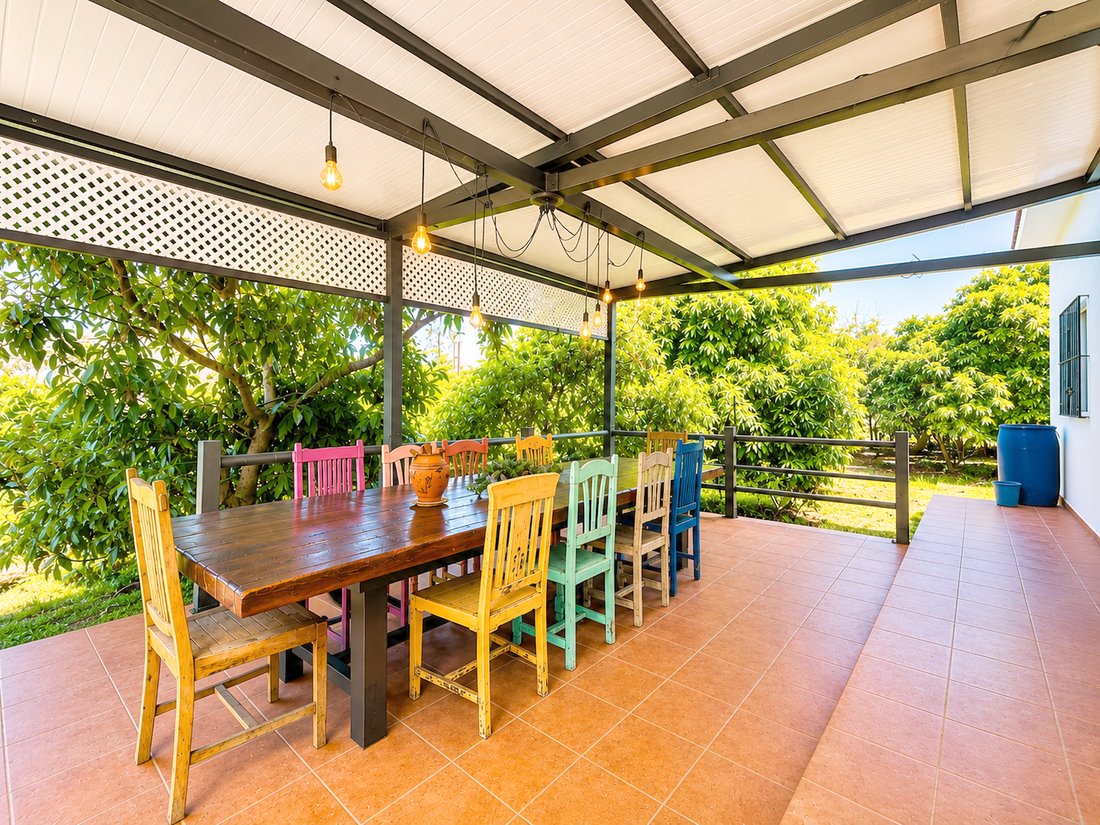 Finca in Estepona, Andalusia, Spain 5 - 17964390