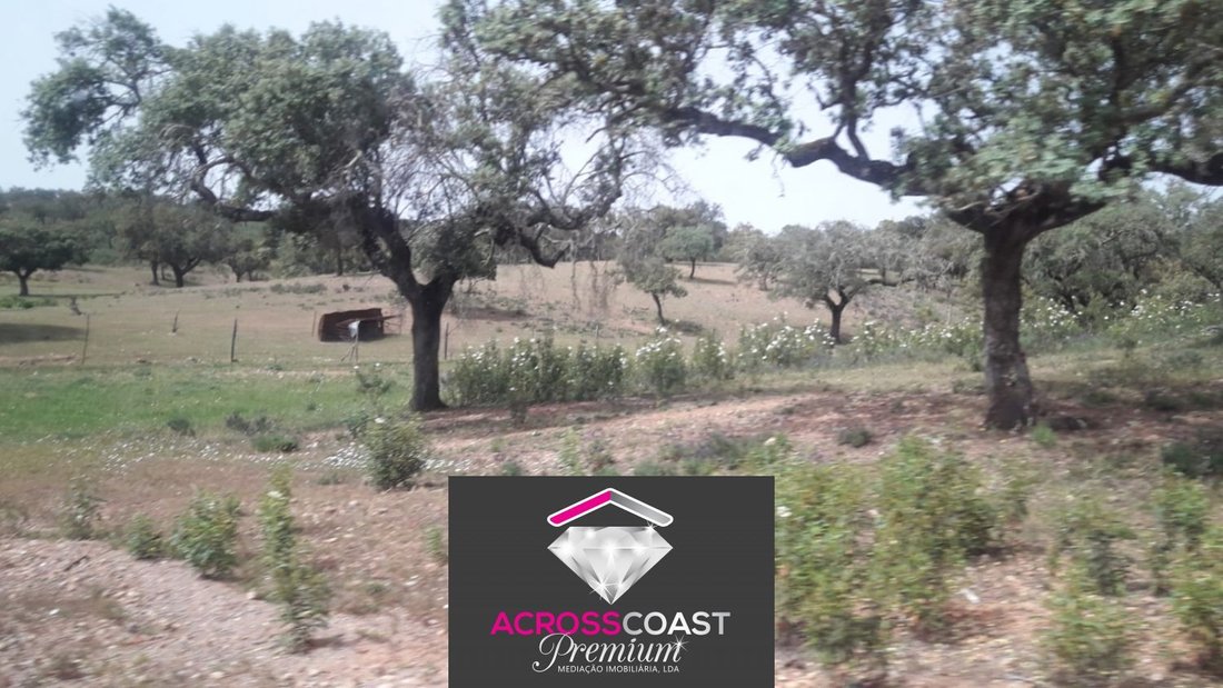 Land in Portel, Évora District, Portugal 5 - 17964492