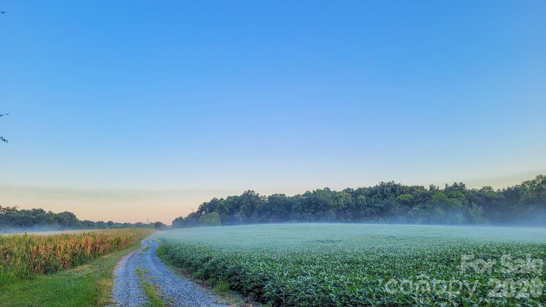 Land in Fairview, North Carolina, United States 5 - 17965106