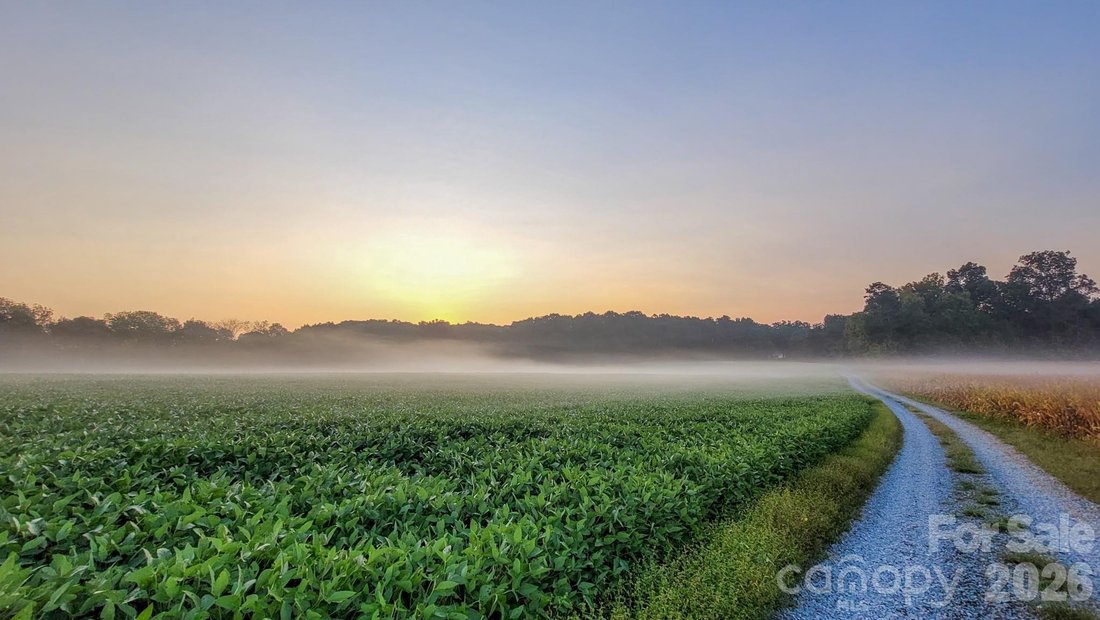 Land in Fairview, North Carolina, United States 1 - 17965106