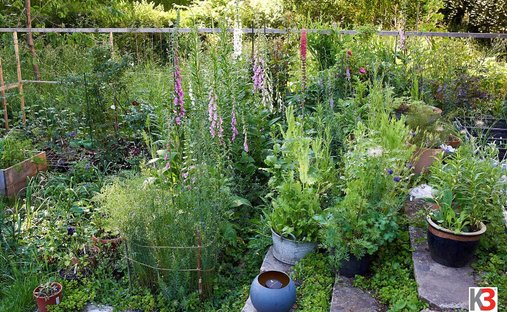 Salisburgo, Salisburgo, Austria 1