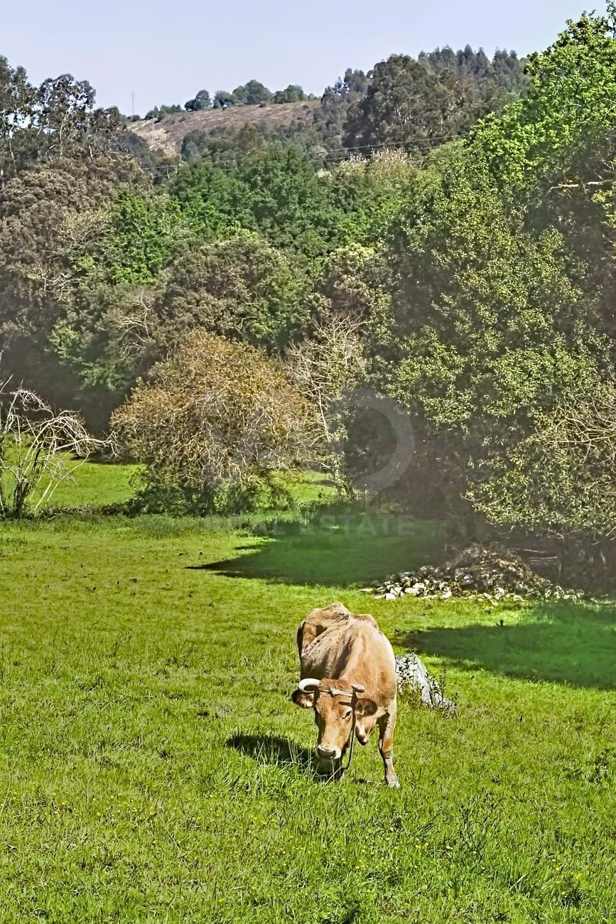 Country House in Llanes, Asturias, Spain 3 - 17965455