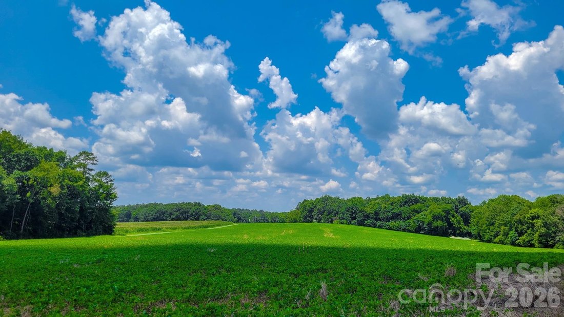 Land in Fairview, North Carolina, United States 3 - 17965106