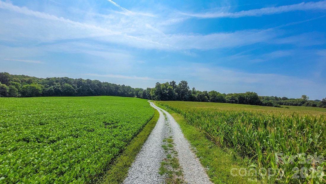 Land in Fairview, North Carolina, United States 4 - 17965106