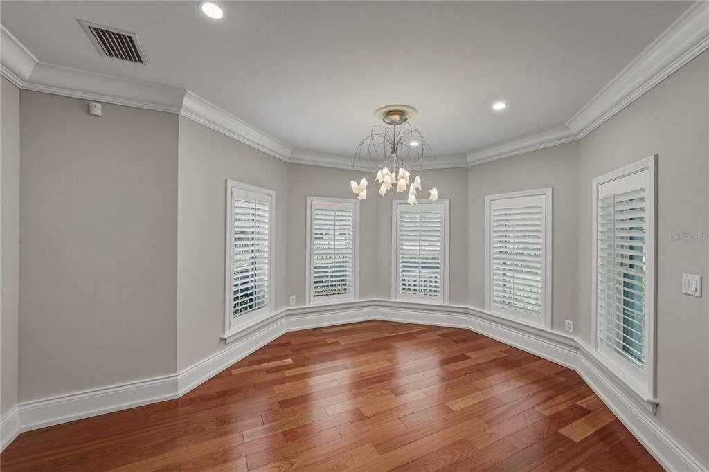 House in Tampa, Florida, United States 4 - 16460749