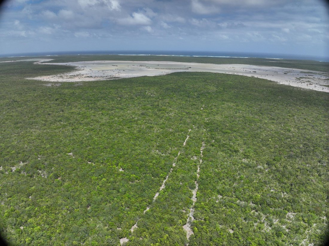 Land in Cabbage Point Settlement, Long Island, The Bahamas 1 - 17965692