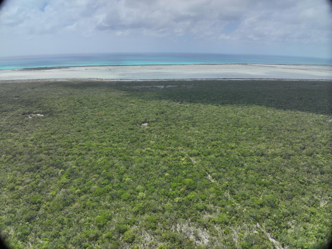 Land in Cabbage Point Settlement, Long Island, The Bahamas 2 - 17965689