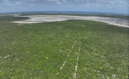 Terreno a Cabbage Point Settlement, Long Island, Bahamas 1