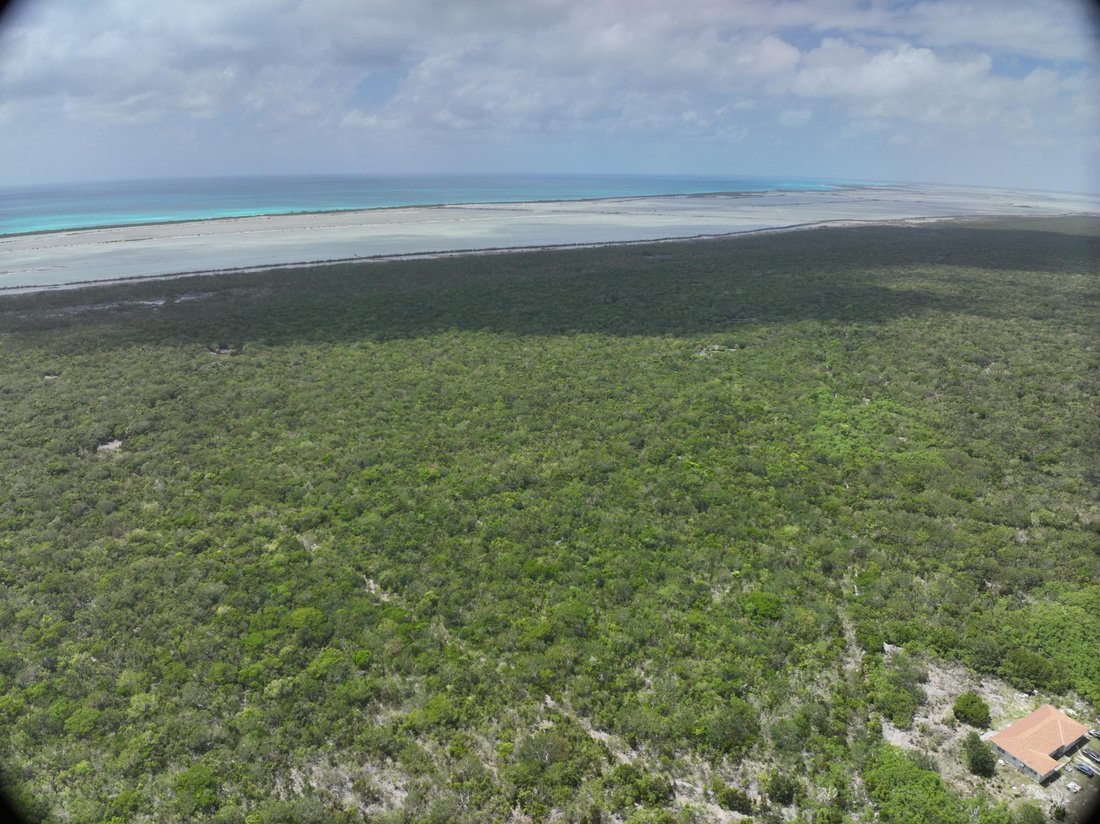 Land in Cabbage Point Settlement, Long Island, The Bahamas 4 - 17965692