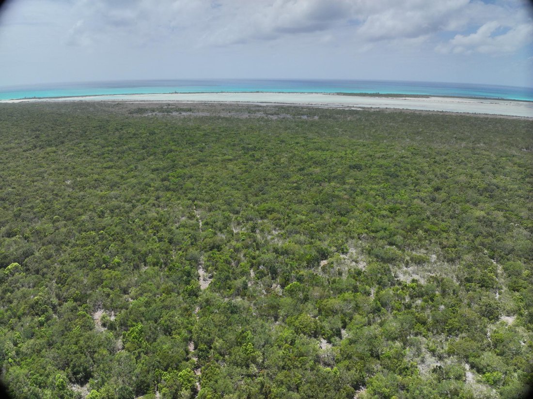 Land in Cabbage Point Settlement, Long Island, The Bahamas 5 - 17965689