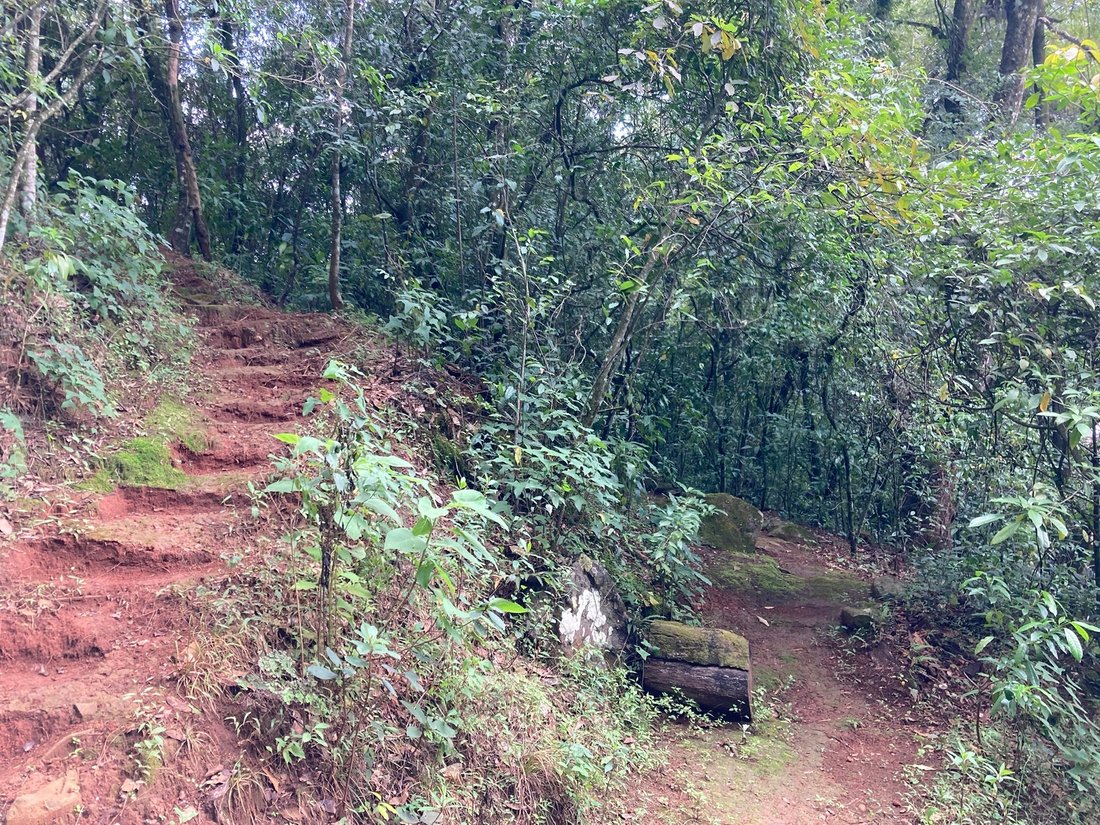 Terreno in Valle de Bravo, Stato del Messico, Messico 5 - 17970342