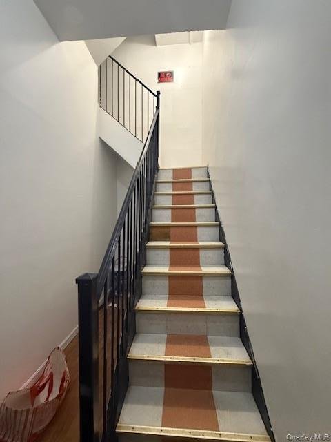 House in New York, New York, United States 3 - 17315547