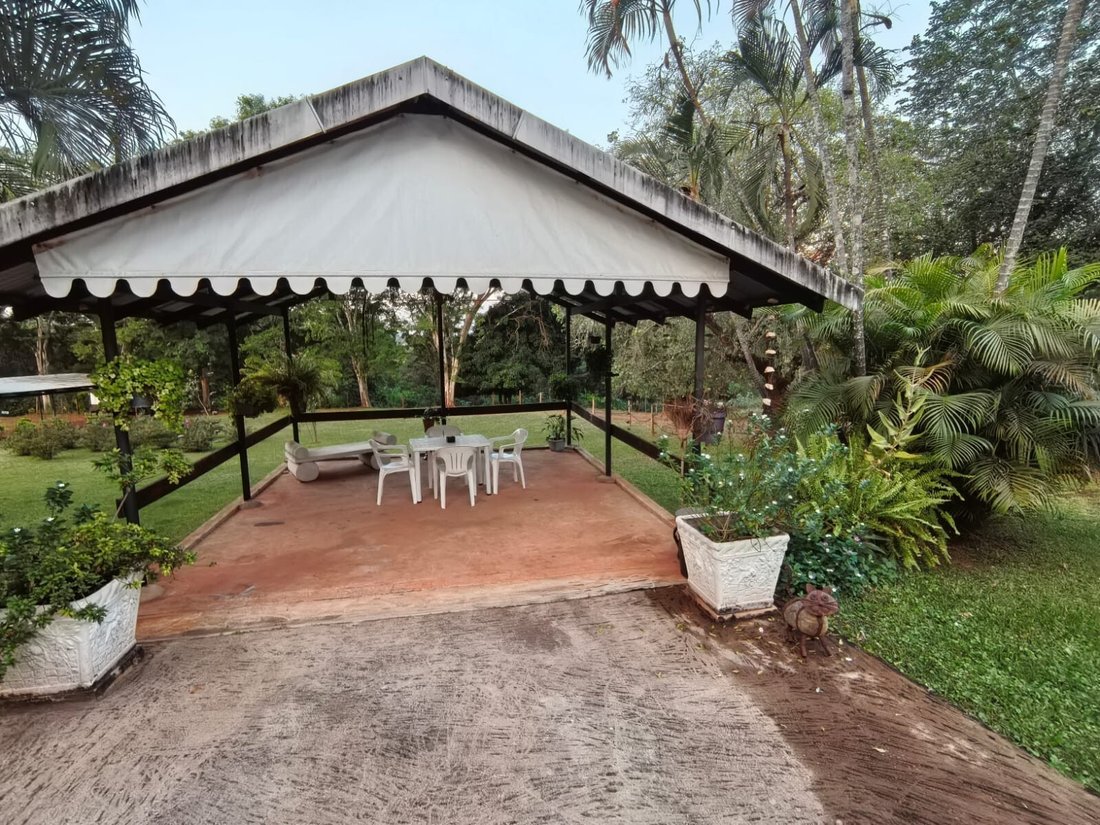 Farm Ranch in Tzaneen, Limpopo, South Africa 4 - 17969901