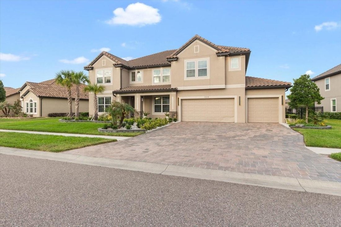 House in Wesley Chapel, Florida, United States 1 - 17966369