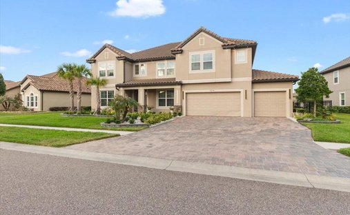 House in Wesley Chapel, Florida, United States 1