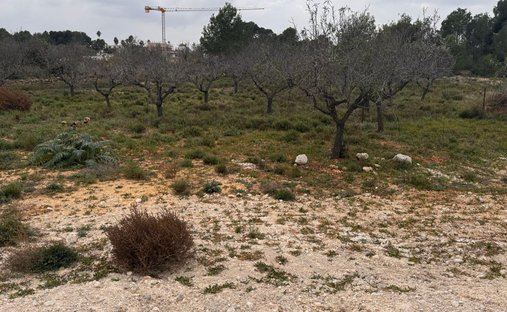 Land in Betera, Valencian Community, Spain 1