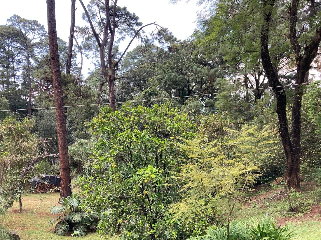 Terreno in Valle de Bravo, Stato del Messico, Messico 4 - 17970342