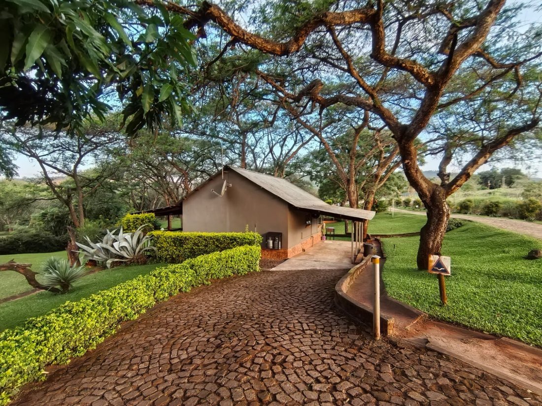 Farm Ranch in Tzaneen, Limpopo, South Africa 1 - 17969901