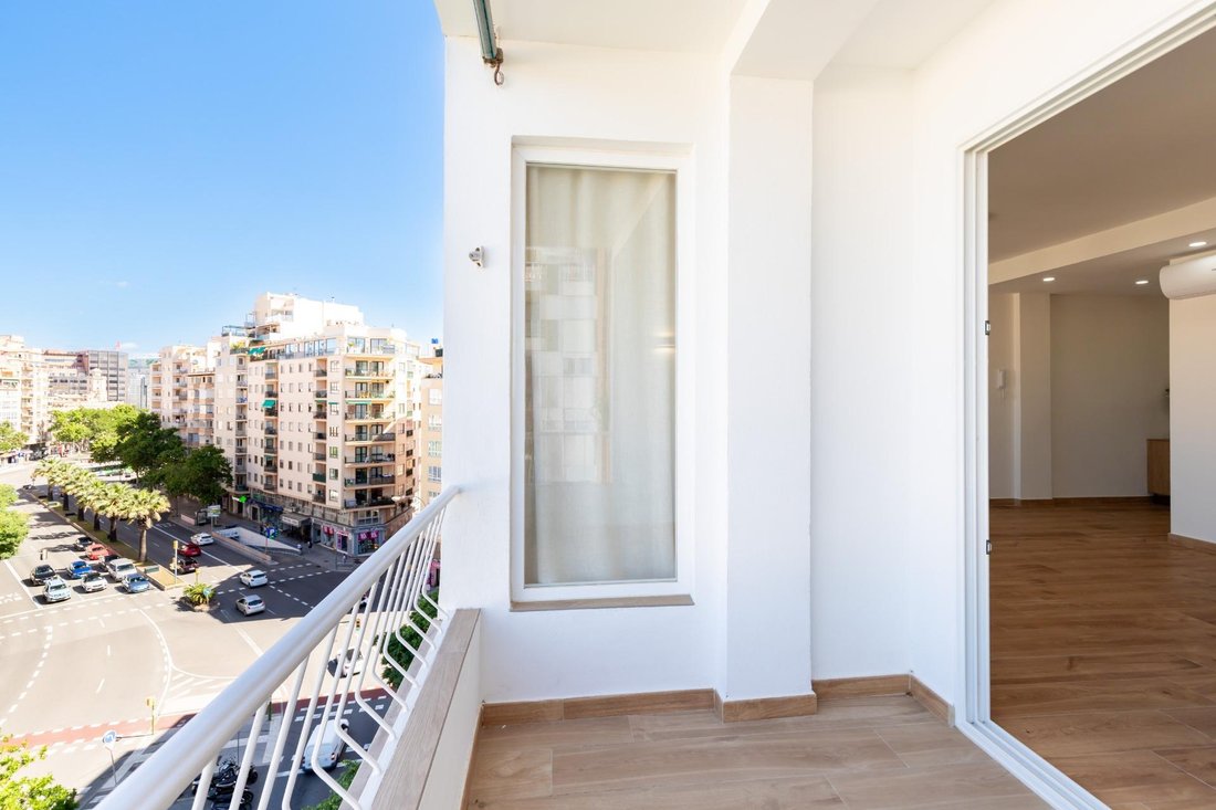 Apartment in Palma, Balearic Islands, Spain 5 - 17972216