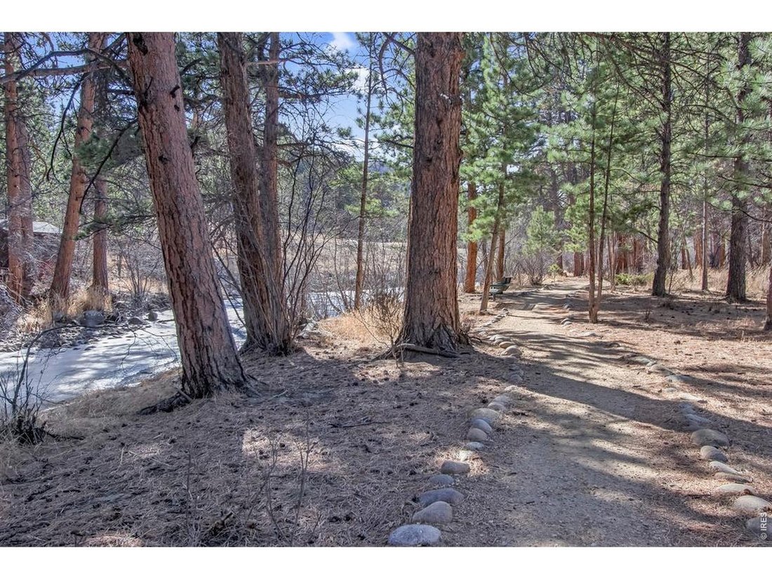Condo in Estes Park, Colorado, United States 3 - 17970558