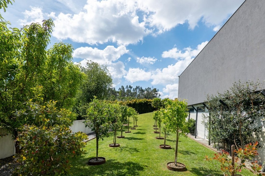 House in Ribeirao Preto, Braga, Portugal 3 - 17971433